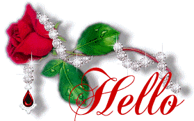 hello /salut / salam